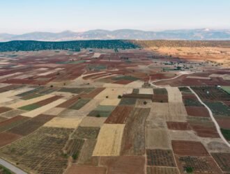 WhatsApp Image 2025-12-26 at 8.10.53 PM