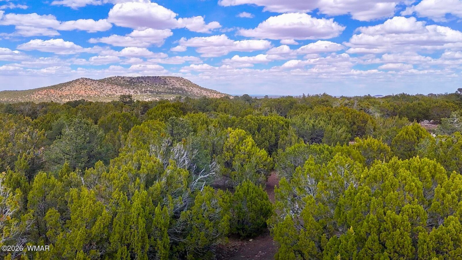 52 County Road 3198 Vernon, AZ 85940